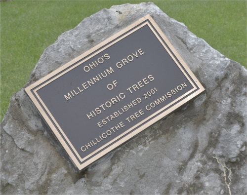This plaque marks the entrance to the Ohio Millennium Grove